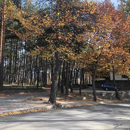 Borov Park 1 Apartment Велинград Екстериор снимка